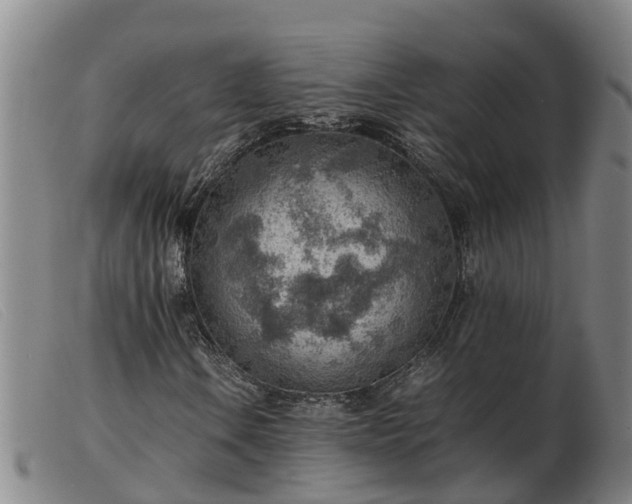 X0000103411106200809191538