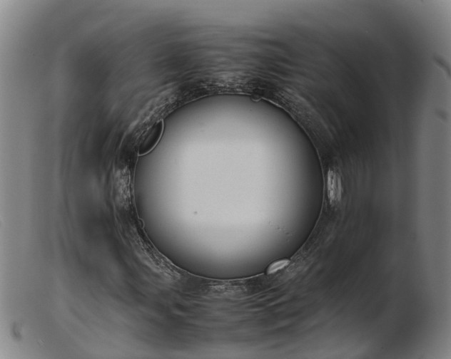 X0000103411107200809191538