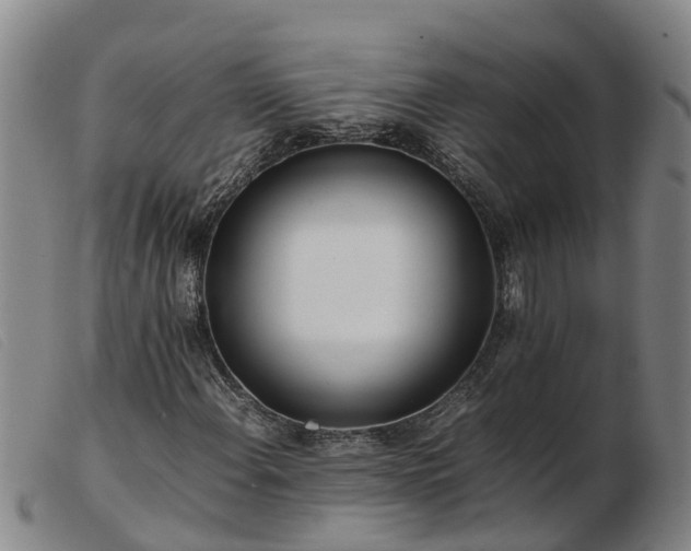 X0000103411108200809191539