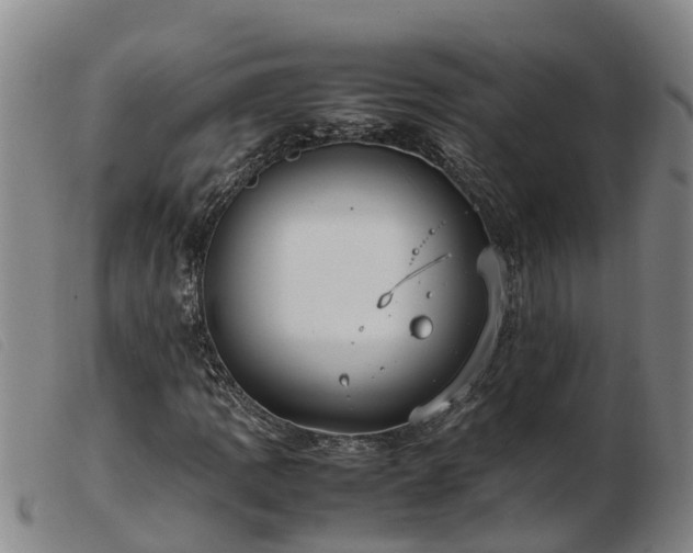 X0000103411109200809191539