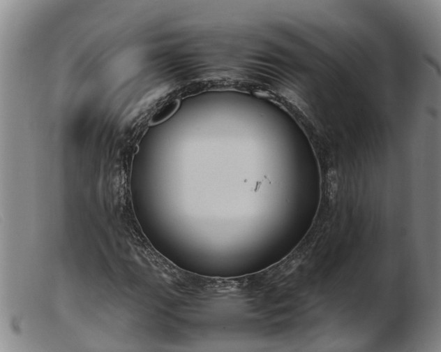 X0000103411111200809191539