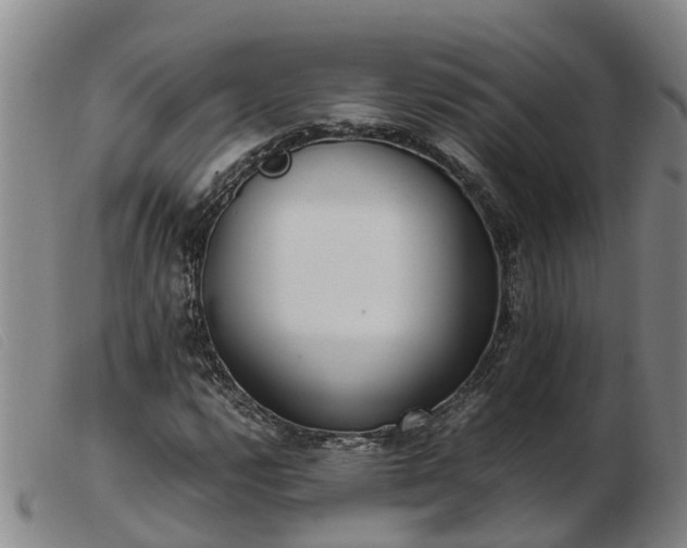 X0000103411112200809191539