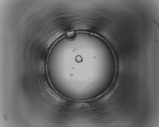 X0000103411113200809191539