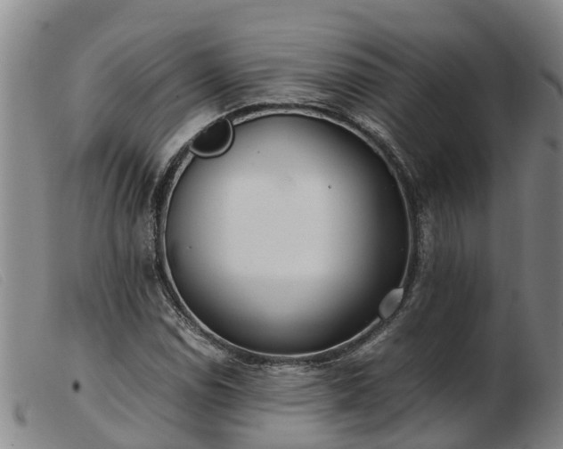 X0000103411114200809191539