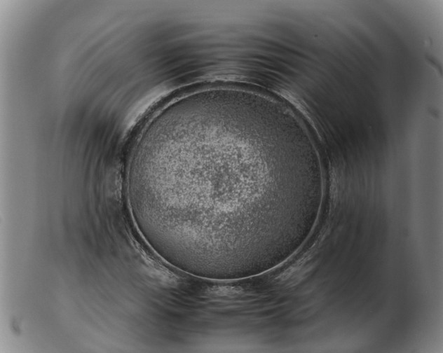 X0000103411115200809191539