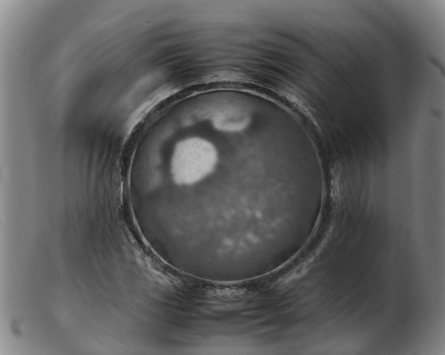 X0000103411117200809191539