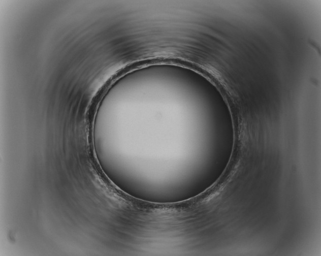 X0000103411118200809191539