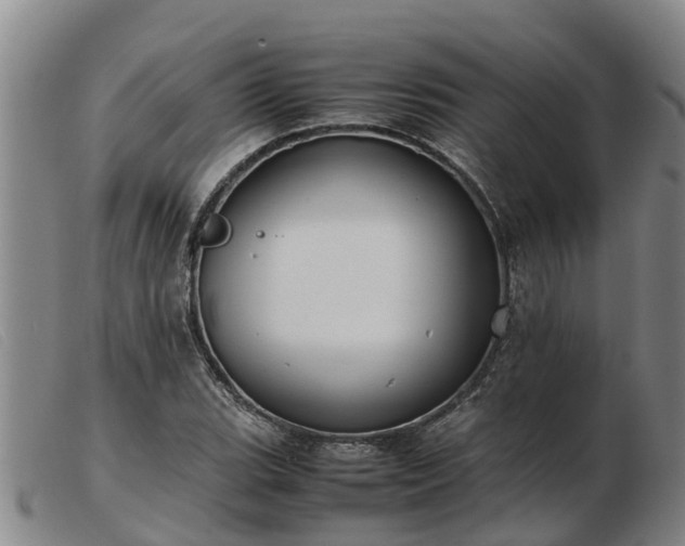 X0000103411119200809191539