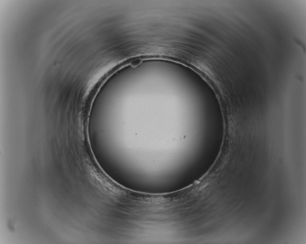 X0000103411120200809191539