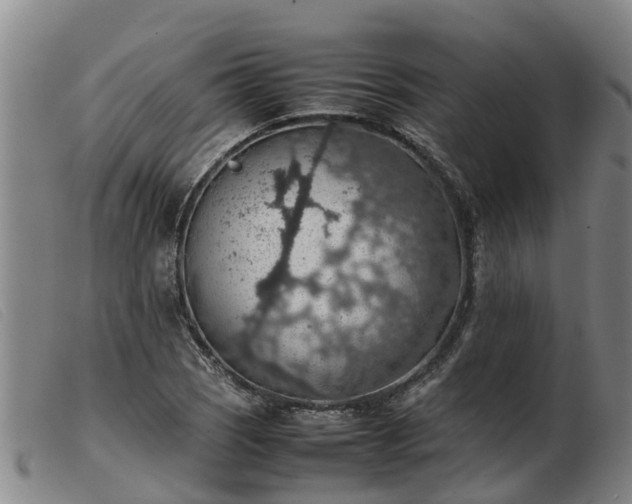 X0000103411121200809191539