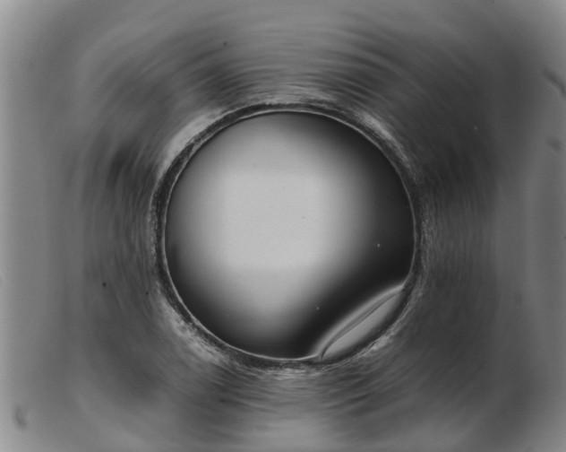 X0000103411122200809191539