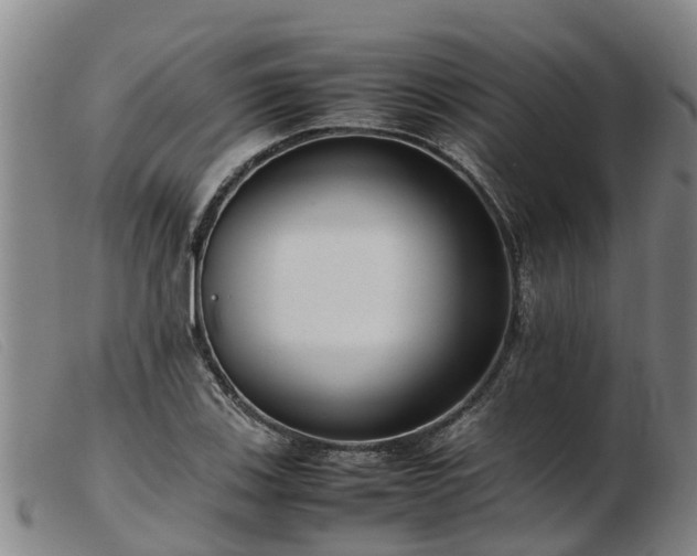 X0000103411123200809191539