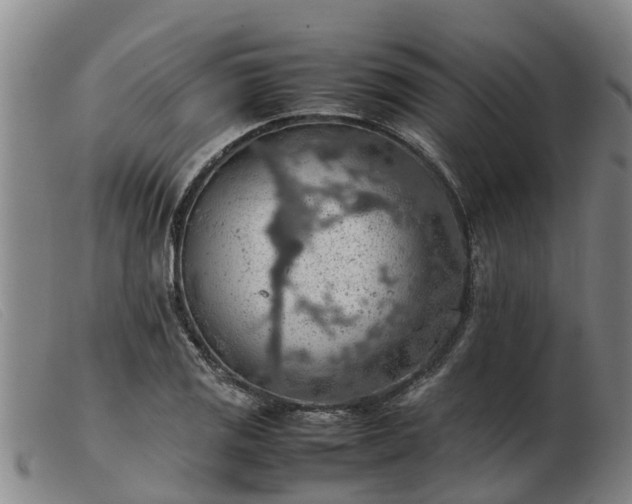 X0000103411125200809191539