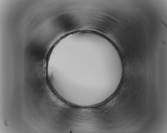 X0000103411126200809191539