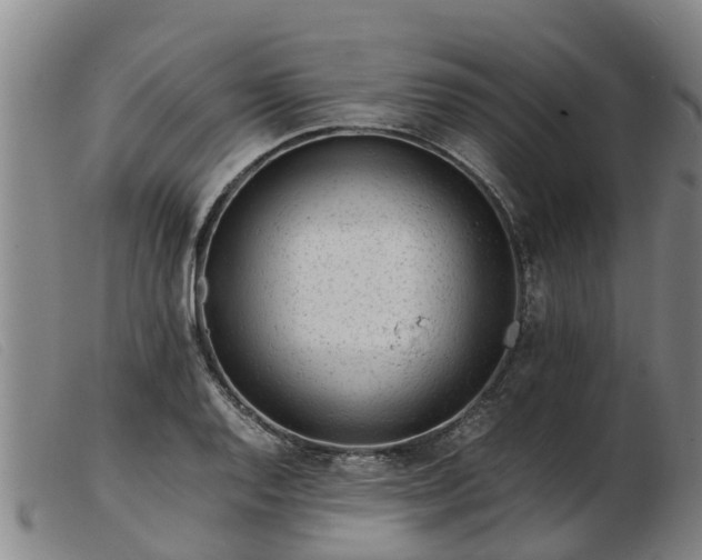 X0000103411128200809191539