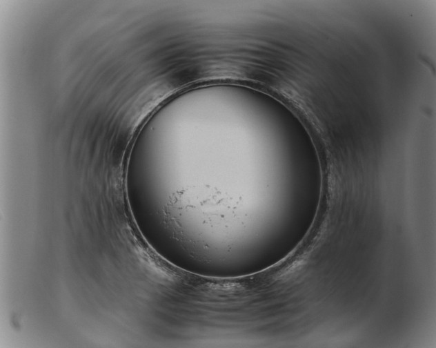 X0000103411129200809191539