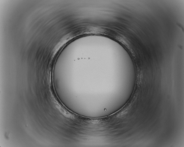 X0000103411130200809191539