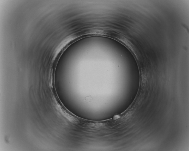 X0000103411131200809191539