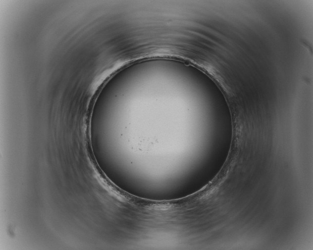 X0000103411134200809191539