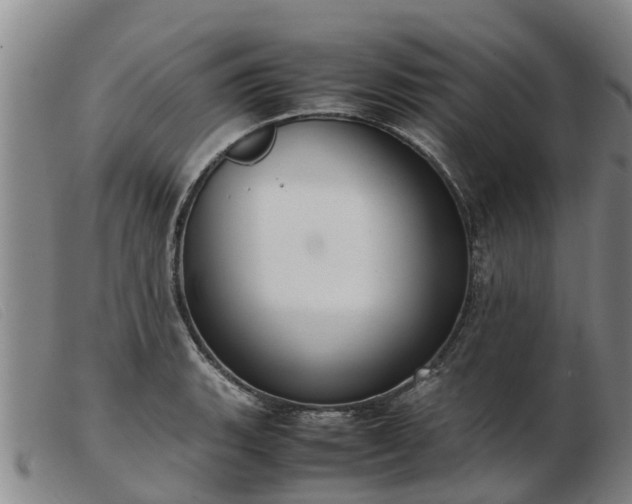 X0000103411135200809191539