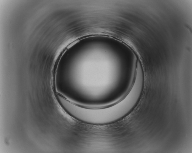 X0000103411136200809191539