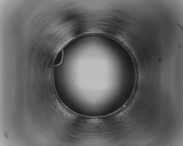 X0000103411137200809191539