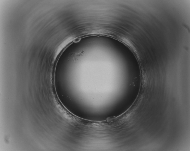 X0000103411138200809191539