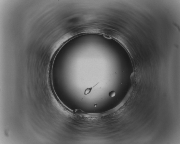 X0000103411139200809191539