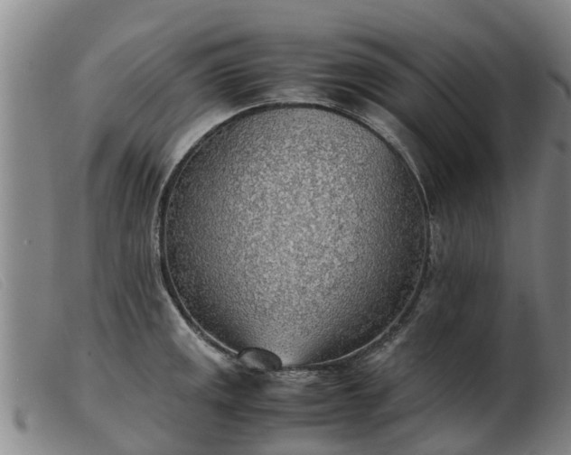 X0000103411141200809191539