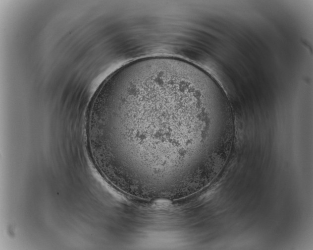 X0000103411142200809191539