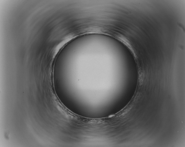 X0000103411146200809191539