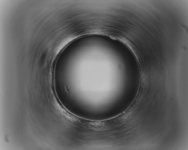 X0000103411147200809191539