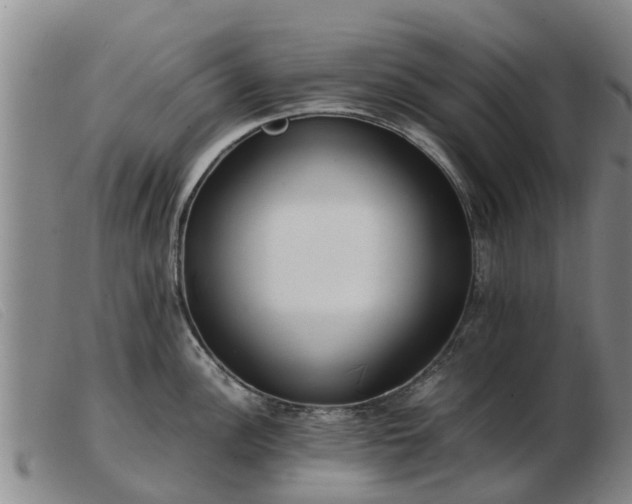 X0000103411148200809191539