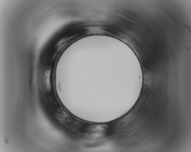 X0000103411150200809191539