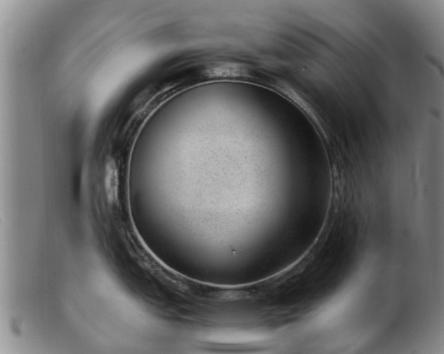 X0000103411151200809191539