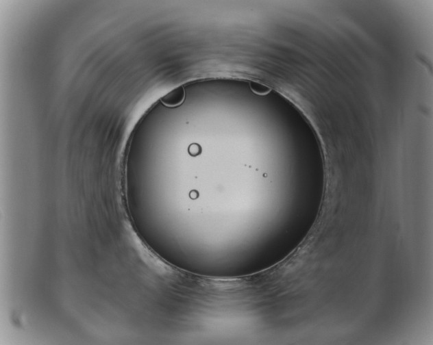 X0000103411152200809191539