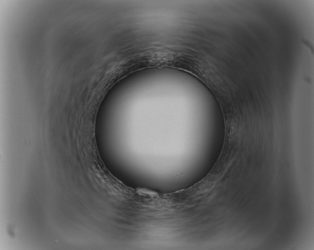 X0000103411153200809191538