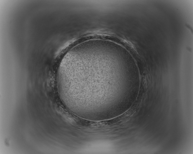 X0000103411159200809191538