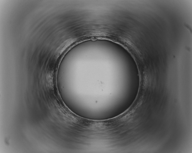 X0000103411162200809191538