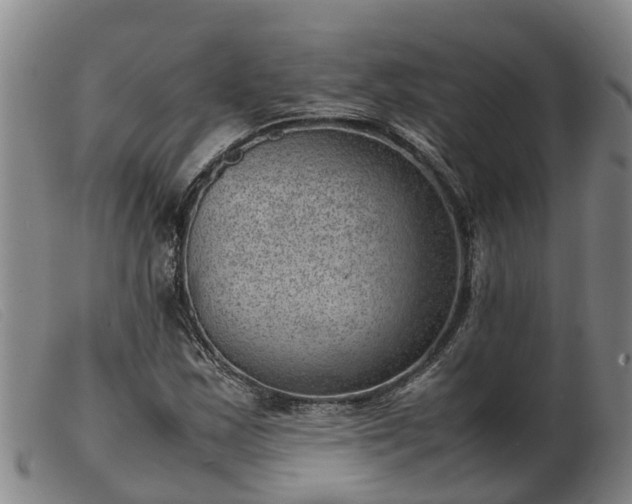 X0000103411163200809191538