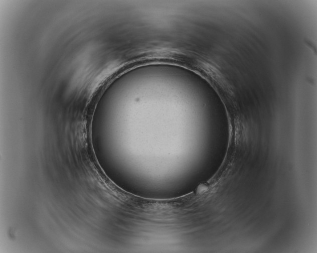 X0000103411164200809191538