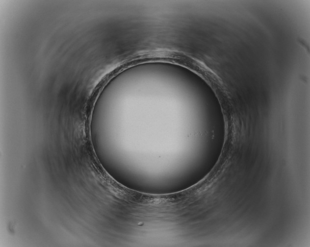 X0000103411166200809191538