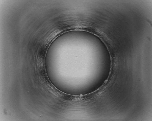 X0000103411169200809191538