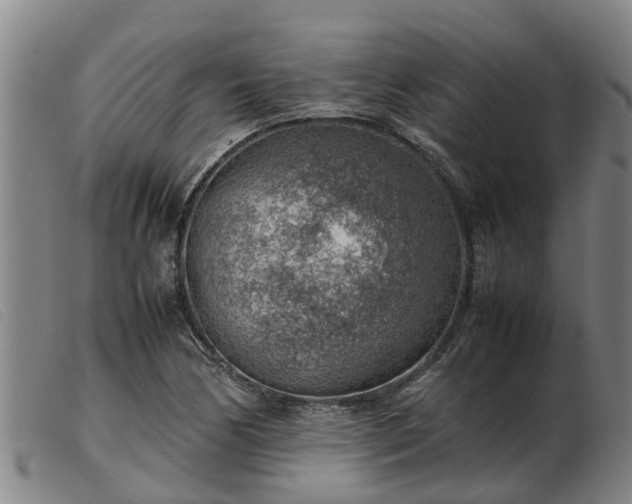 X0000103411170200809191538