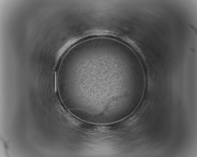 X0000103411175200809191538