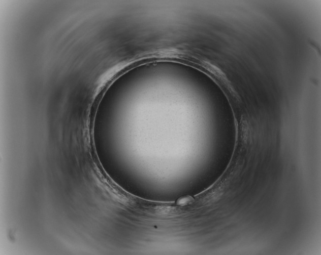 X0000103411176200809191538