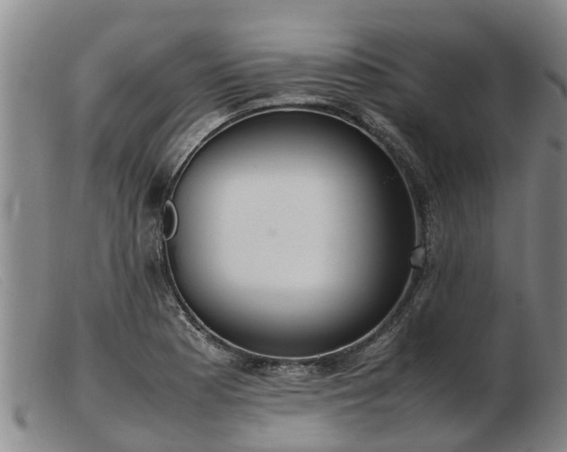 X0000103411177200809191538