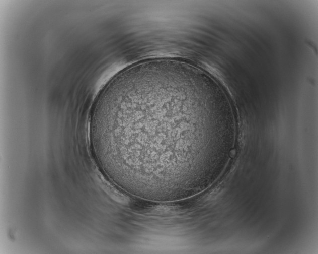 X0000103411179200809191538