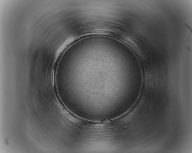 X0000103411180200809191538