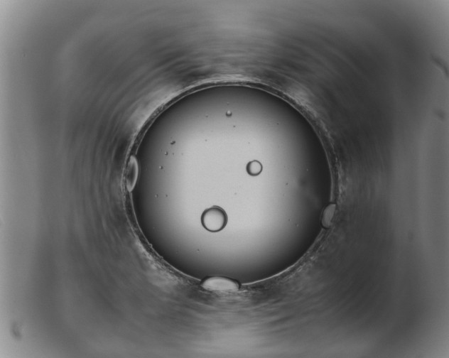 X0000103411181200809191538